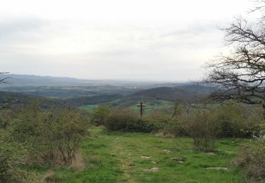 Excursión Ruta Tossiat - tossiat /journans /croix de rignat /croix de la dent /gravelle /tossiat  - Photo