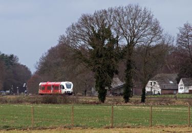 Percorso A piedi Doetinchem - Dwars door Gelderland (23) - Photo