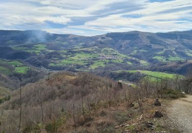 Excursión Senderismo Aranaz - galère  - Photo