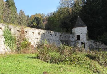 Tocht Te voet Slovenske Konjice - Trije križi - Stolpnik - Photo