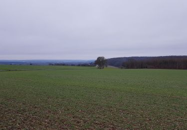 Tocht Stappen Les Authieux-sur-le-Port-Saint-Ouen - 20190105 les Authieux  - Photo