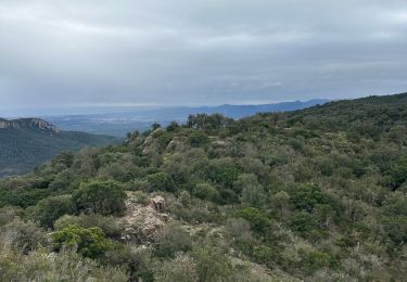 Trail sport Bagnols-en-Forêt - Gorges de Blavet pays de Fayence - Photo