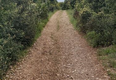 Tocht Fiets Aspères - grotte du bois de Paris - Photo