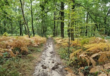 Percorso Marcia Fontenay-lès-Briis - Essonne_Fontenay-Les-Briis=>Roche-Turpin=>Soucy(bis) - Photo