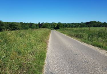 Tocht Stappen Thuin - Cornettes - Piou - Photo