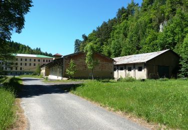 Excursión A pie Markvartice - Soutěskou Olešničky (návrh) - Photo