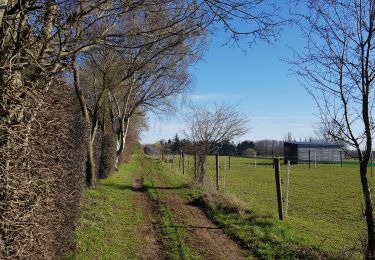 Tocht Stappen Luik - Rocourt > Fooz > Awans > Rocourt  - Photo