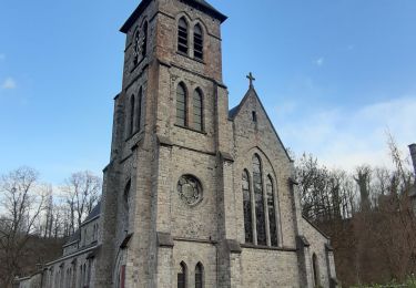 Trail Walking Dinant - Anseremme (boucle 6km bords de la Lesse et crête) - Photo