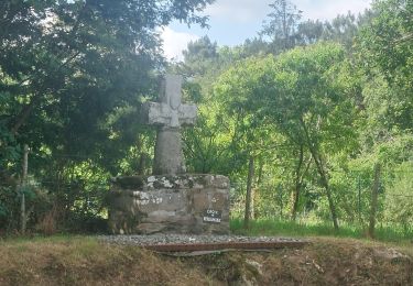 Trail Walking Theix-Noyalo - PR_56_Theix-Noyalo_DA_04_Les-Chapelles_Circuit3b_20250615 - Photo