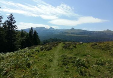 Percorso A piedi Lanne-en-Barétous - ISSARBE les crêtes    2893126 - Photo