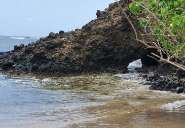 Tour Wandern Sainte-Marie - Anse Azérot, morne Bataillon et la Pte Martineau. - Photo