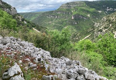 Randonnée Marche Saint-Maurice-Navacelles - 2025 Chemin de St Guilhem 10ème étape Navacellesau Narges - Photo