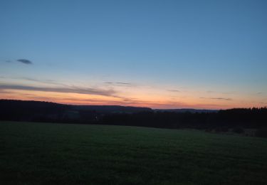 Trail Walking Habay - anlier - Photo