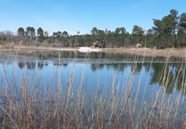 Randonnée Marche Pompiey - Randonnée Pompiey-Xaintrailles-lac de Lalague-Pompiey - Photo