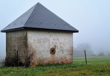 Randonnée A pied Ettelbruck - Auto-Pédestre Ettelbruck 1 - Photo