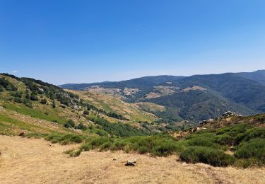 Excursión Senderismo Dourbies - Dourbies à Camprieu en boucle - Photo