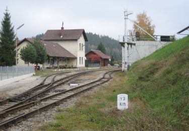 Excursión A pie Gemeinde Groß Gerungs - Sonnhof 2 - Photo