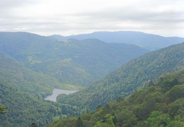 Randonnée Marche Sewen - Circuit lac d'alfeld / ballon d'Alsace  - Photo