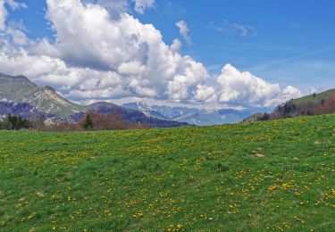 Trail Walking Lalley - Serre Motaire et Lazare - Photo