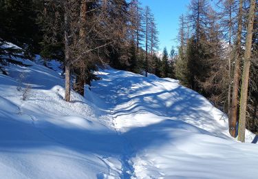 Excursión Esquí de fondo Val-des-Prés - la caro - Photo