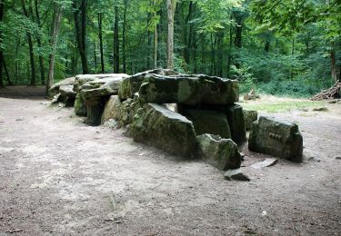 Excursión A pie Mesnil-Roc'h - La Maison des Feins - Photo