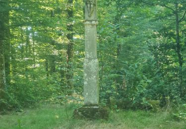 Tour Wandern Großmenglatt - Rando des Marcheurs du 7 Août 2025..Grosmagny - Photo