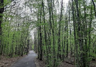 Tour Wandern Géraudot - du Lac d'Orient au lac du Temple - Photo