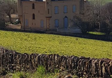 Randonnée Marche Val d'Oingt - le bois de la Flachère - Photo