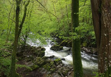 Randonnée Marche Rochefort - han sur lesse 23km - Photo