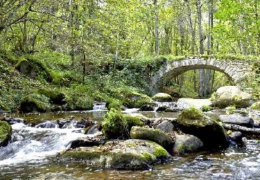 Trail Walking Olloix - Olloix_Gorges_Monne - Photo