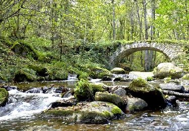 Percorso Marcia Olloix - Olloix_Gorges_Monne - Photo