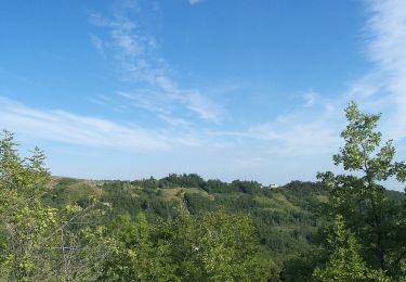 Tour Zu Fuß Montesegale - Anello Fornace Sud - Photo