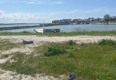 Trail Road bike Fort-Mahon-Plage - Entre Baie d’Authie et Baie de Somme - Photo