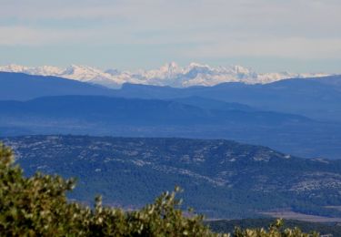 Randonnée A pied Puyloubier - Garagaï de Cagoloup- Ste Victoire-11-12-24 - Photo