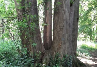 Excursión Senderismo Feucherolles - feucheroles - Photo