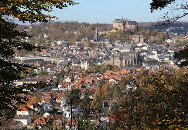 Trail On foot Marburg - Homberger Weg - Photo