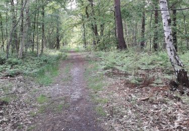 Tour Wandern Petit-Couronne - Petit-Couronne-4.8- 06-052020 - Photo