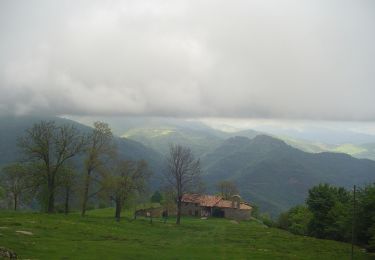 Excursión A pie la Vall d'en Bas - Mirador de la Vall d'en Vas i la Garrotxa - Photo