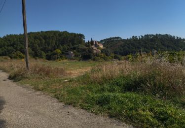 Randonnée Vélo de route Vogüé - 07 vogue j2 - Photo