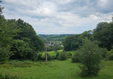 Trail Walking Voeren - A la découverte de Fourons 🥾 - Photo