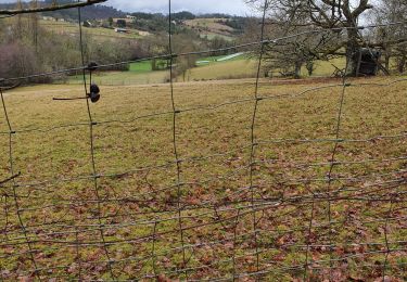 Tocht Stappen Manzac-sur-Vern - manzac 2 - Photo