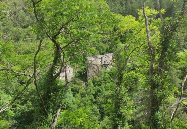 Tour Elektrofahrrad Meyrueis - Meyrueis - Méjean - Tarn - Jonte - Meyrueis - Photo