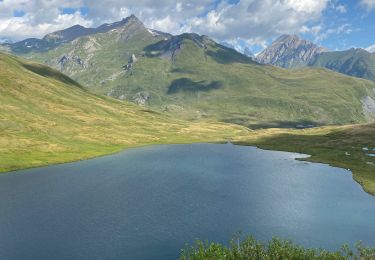 Tour Mountainbike Montvalezan - La Rosière Bleue - Photo