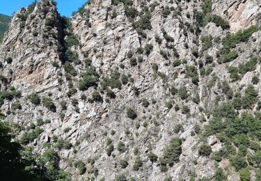 Percorso Marcia Thuès-Entre-Valls - gorge de la Carança  - Photo