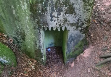 Trail Walking Grandfontaine - Les 2 Donons - Photo