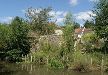 Tocht Te voet Dourdan - FR-PR 11 - Photo