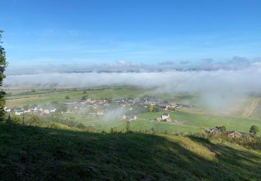 Randonnée Marche Beauraing - GR126 : Beauraing - Houyet - Gendron - Photo