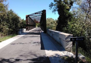 Tour Wandern Loriol-du-Comtat - autour de Loriol  - Photo