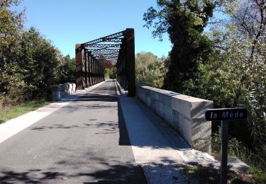 Randonnée Marche Loriol-du-Comtat - autour de Loriol  - Photo