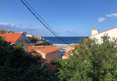 Tour Wandern Cerbère - Cerbère cerbère  - Photo